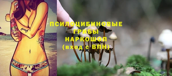 спиды Армянск
