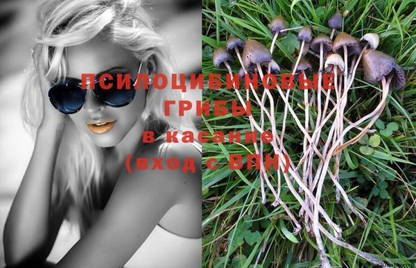 спиды Армянск